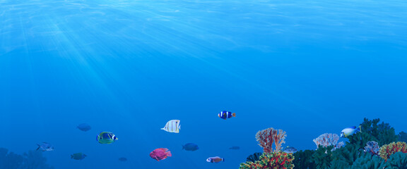Beautiful corals and different fishes in sea, banner design. Underwater world