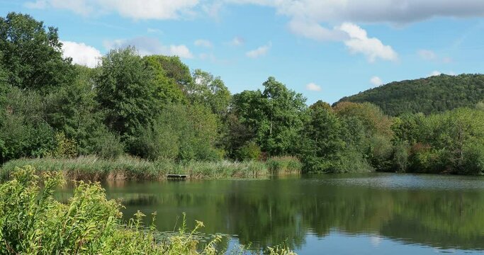 Gr&uuml;tt Park (Gr&uuml;ttpark)  Der Gr&uuml;ttsee in mitten Landschaftspark in L&ouml;rrach. Das ruhige Wasser des Sees, umgeben von wilder Natur, Schilfgebieten und gr&uuml;ner Vegetation
