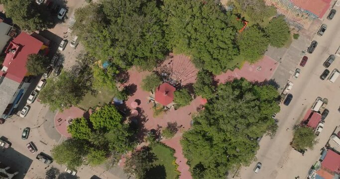 personas caminando en el parque