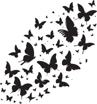 Flying Butterflies Silhouette Flying Black Silhouettes Of Butterflies