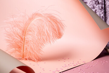 Abstract holiday background with bird feather and paper, pink background with copy space for text