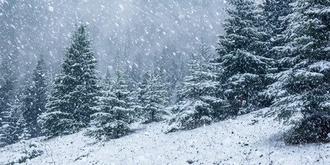snow falling in the forest with Christmas tree 