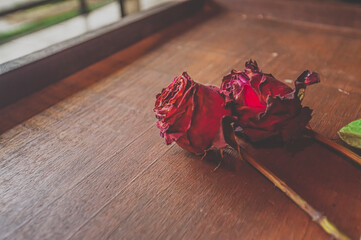 Dramatic themed roses, withered and lifeless roses, still life, coppy space and wooden background