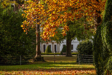 Obraz premium Autumn in the garden of the Széchenyi Palace in Nagycenk, Hungary 
