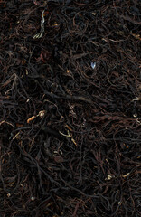 Dry seaweed on a pebble beach 