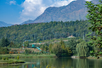 Obraz premium Jawaharlal Nehru Memorial Botanical Gardens in Srinagar,Jammu,Kashmir India.