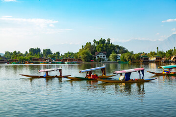 Obraz premium Shikars boat on dale lake in Srinagar,Jammu Kashmir,India.
