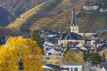 Ahrweiler and the Vineyards in autumn