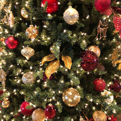 Christmas Holiday Sparkle and Bling Photo

