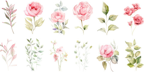 Watercolor plants illustrations with green, pink and white flowers.