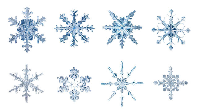 Snowflakes icon collection isolated on white, transparent background png