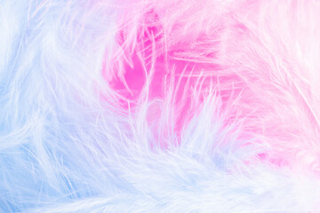 Blue and pink feathers in soft and blur style for background, macro shot. Baby Shower, girl or boy...