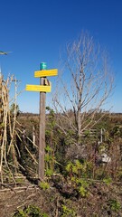 Le Cougourlier (Saint Gilles du Gard)