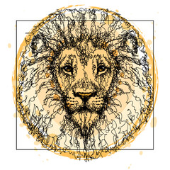  Graphic portrait of a lion in sketch style with splashes of watercolor. 