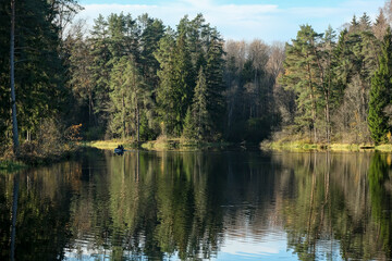 Fototapeta na wymiar Ņega river in Latvia in autumn. Forest on river shores. Reflection in calm smooth water surface.