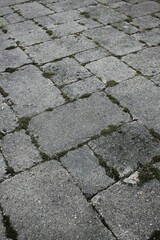 stone pavement texture