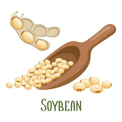 Soya beans. Soybeans in pods and wooden spoon. Food, legumes, agriculture. Illustration, vector