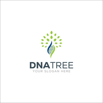 DNA Tree Logo Design Vector