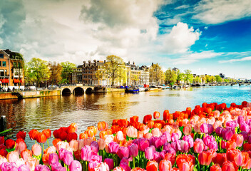 embankment of Amstel canal with spring tulips in Amsterdam, Netherlands, retro toned - obrazy, fototapety, plakaty