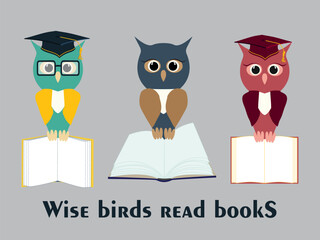 Set of owl in a graduate hat holds an open empty book in his paws. Vector owl character in master cap flat illustration