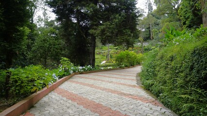Beautiful scenic garden of Kodaikanal Bryant Park.