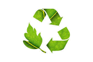 Icons recycle reduce reuse recycle recycle symbol Ecology An ecological metaphor for ecological...