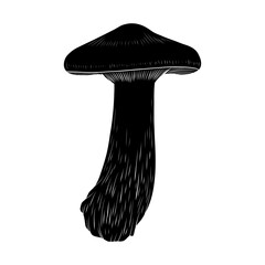 magical forest elements. images of a snake, night moth, fly agaric mushrooms, plant and space elements. Ideal for printing on fabric or clothing, wallpaper and wrapping paper