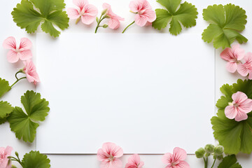 Obraz premium Pink cherry blossoms on stems with green leaves framing white space