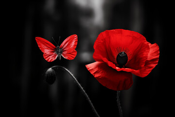 Vivid red poppy with contrasting butterfly on a monochrome background. Artistic representation of remembrance and peace. Design for advertising poster, banner, or wallpaper