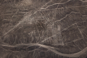 Nazca lines. Nazca geoglyphs . Monkey  geoglyph on the Nazca Plateau. Peru
