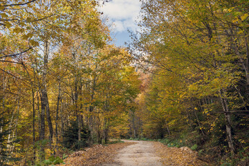 Autumn landscape in the mountains. A dirt road leads to the mountain peaks.