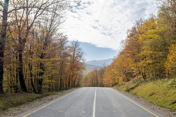 Obraz premium Turning road with autumn trees in the mountains in autumn.