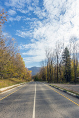 Road in the autumn forest. Beautiful empty mountain road,