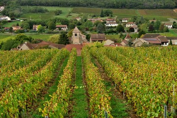 Fototapeta na wymiar Village Bourguignon dans les vignes.