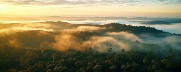 An Aerial Symphony of Tranquil Mist Blanketing an Arboreal Tapestry, Unveiling a Mystical and Serene Dawn Awakening in the Verdant Embrace of a Mysterious Forest