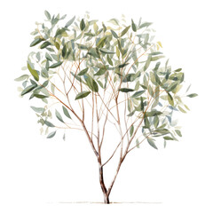 watercolour tree isolated on transparent background