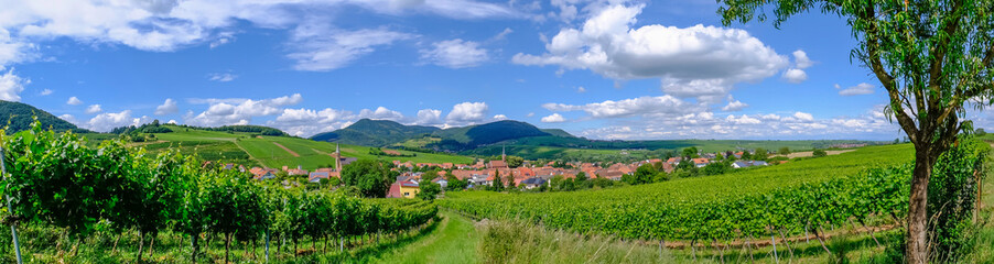 Blick auf den Weinort Birkweiler - obrazy, fototapety, plakaty