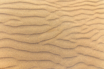 Sand texture. Sand background. Top view