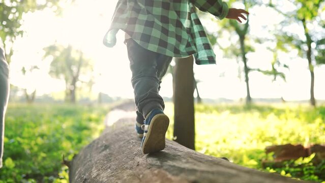 baby boy play in the forest park. close-up child feet walk on a fallen tree log. happy family kid dream concept. a child in sneakers walk on a fallen tree in park lifestyle