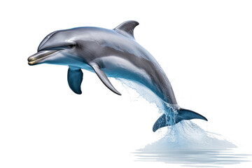Fototapeta premium A dolphin jumping isolated on transparent background.