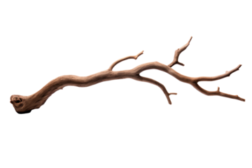 Dry tree branch isolated on transparent background.