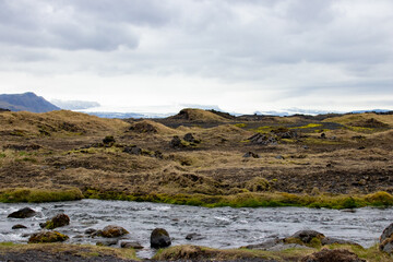 A river in Iceland with a meadow in the foreground and a glacier in the background 