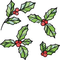 Holly ilex plant vector clip art, mistletoe illustration set, holiday hand drawn decoration set