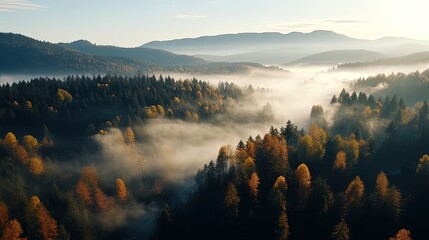 Aerial Drone View of Autumn Forest with Fog Panoramic Landscape - obrazy, fototapety, plakaty