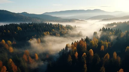 Foto op Plexiglas Aerial Drone View of Autumn Forest with Fog Panoramic Landscape © JuJamal