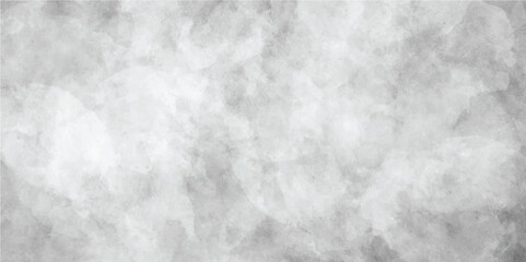 Watercolor white and light gray texture, background. Illustration.	White gray background with soft watercolor texture. Watercolor chaotic texture. Abstract grey white background.	
