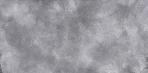 Watercolor white and light gray texture, background. Illustration.	White gray background with soft watercolor texture. Watercolor chaotic texture. Abstract grey white background.	
