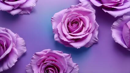  Dusty purple rose blue pink abstract background. Gradient. 