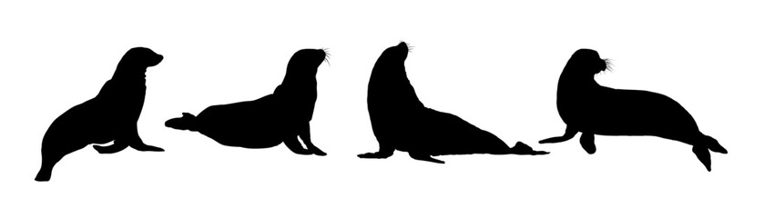 Set of seal silhouette - vector illustration