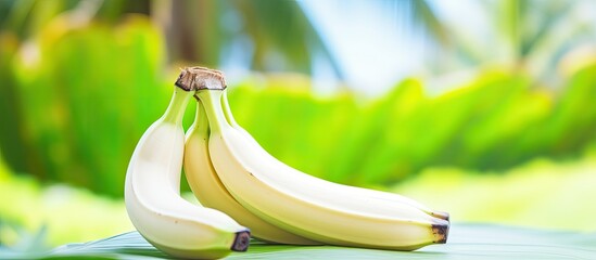 In the isolated tropical background a white banana a symbol of natural and healthy food stands out against the vibrant colors of nature representing the harmony between agriculture and heal